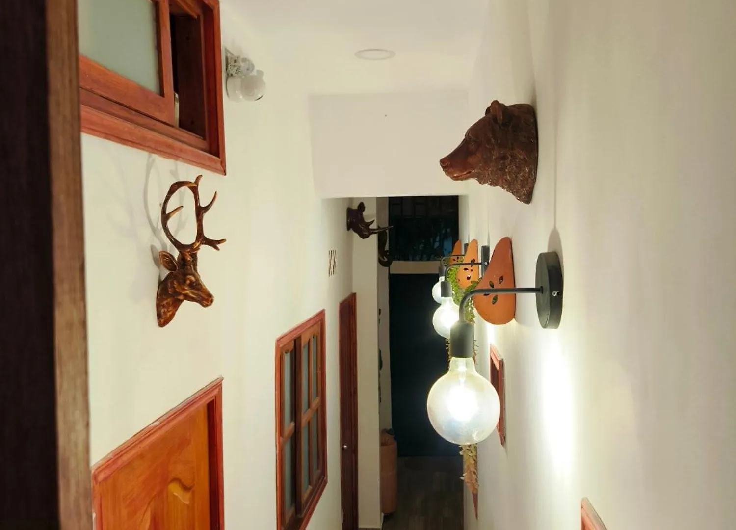Inn Hospedaje Oasis Blue Laureles Medellín